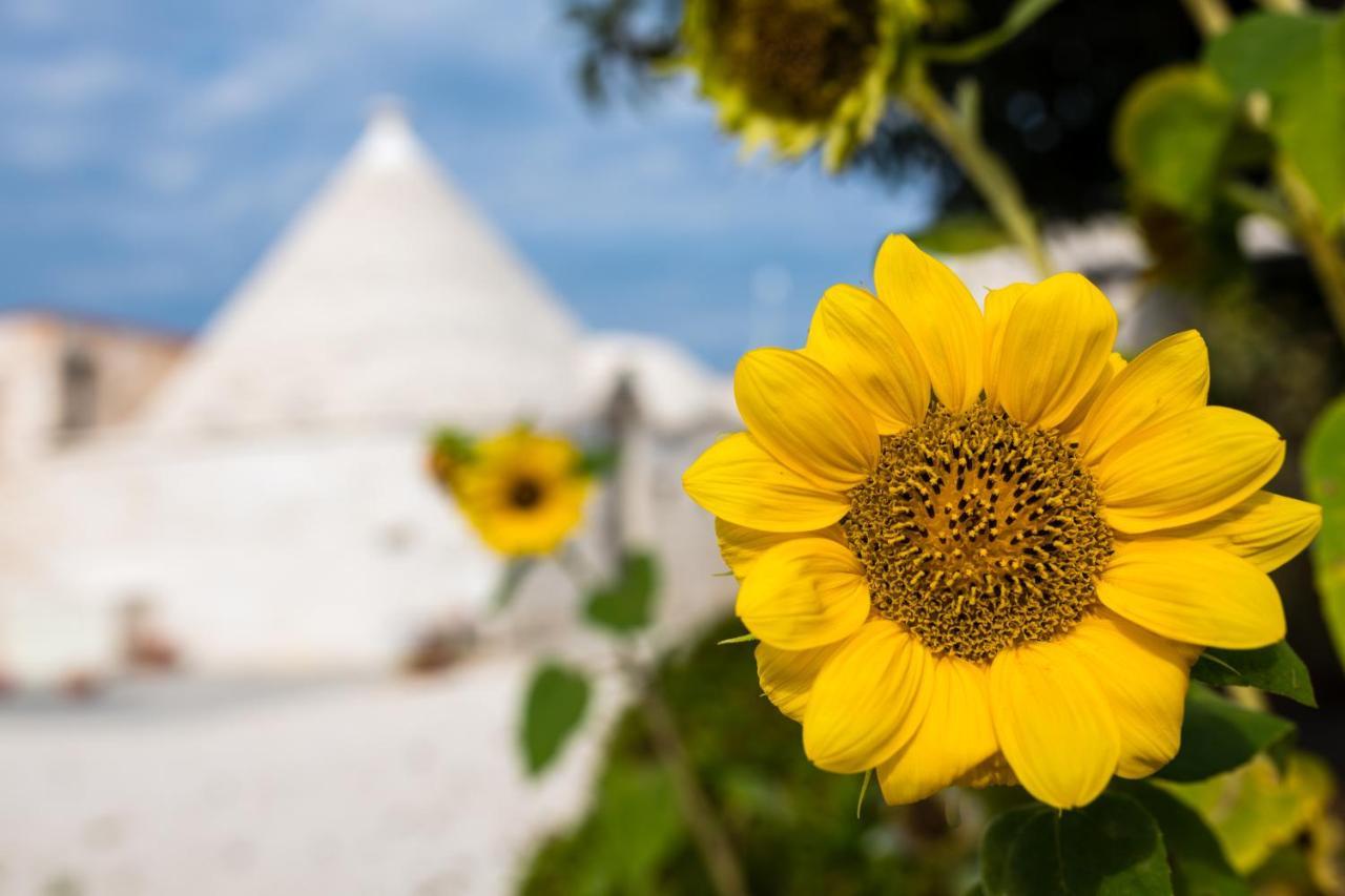 Masseria Mezza Ruota Alberobello Zewnętrze zdjęcie